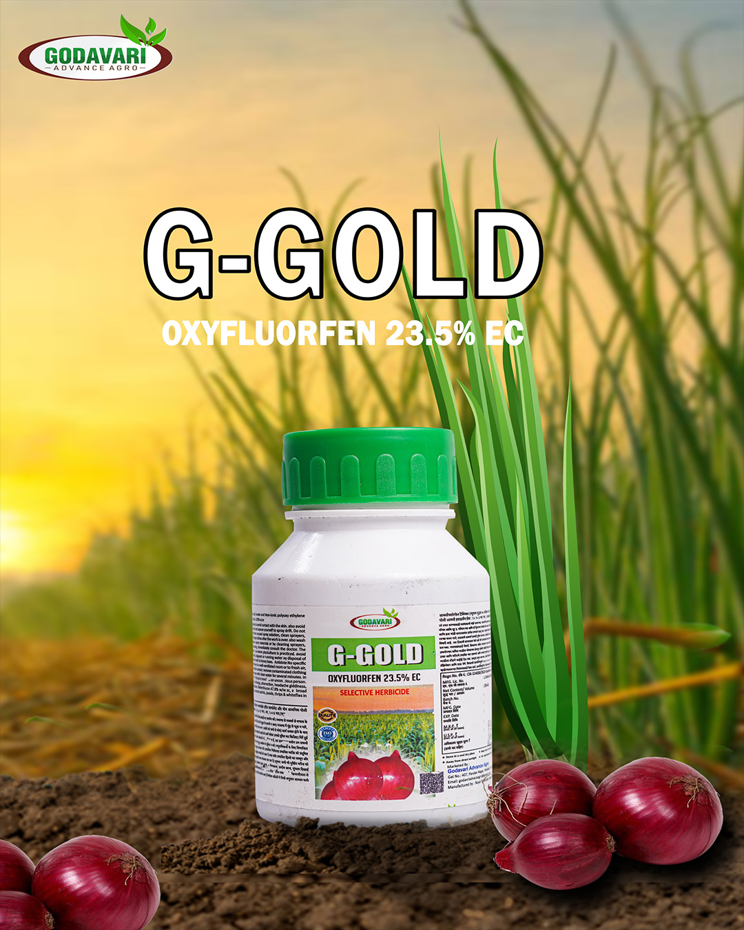 G-Gold – Onion Herbicide for Effective Weed Control