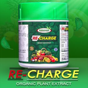 Recharge – Promotes Branching & Lush Greenery