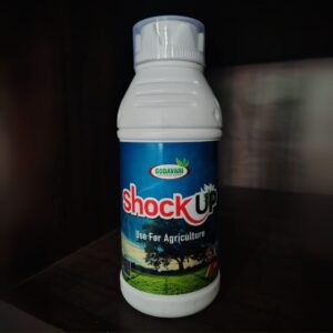 Shok Up – For Stress-Free Growth & Better Photosynthesis