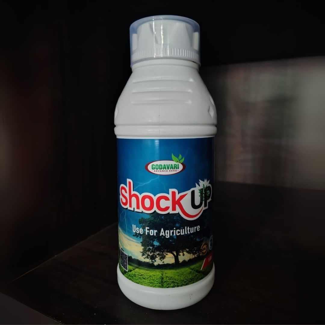 Shok Up – For Stress-Free Growth & Better Photosynthesis