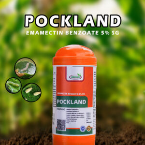 Pokland Insecticide – Advanced Caterpillar Protector for Multiple Crops