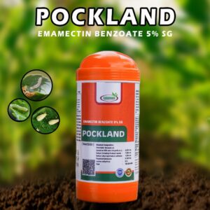 Pockland Insecticide – Advanced Caterpillar Protector for Multiple Crops