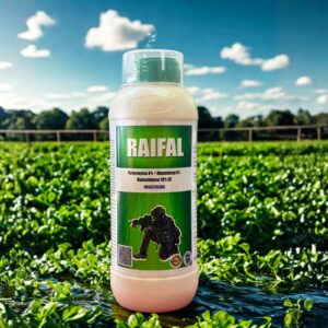 Raifal – Pyriproxyfen 8% + Dinotefuran 5% + Diafenthiuron 18% SC