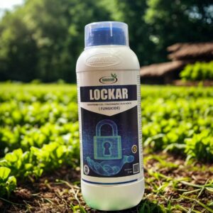 LOCKER – Azoxystrobin 11% + Tebuconazole 18.3% SC