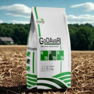 19:19:19 Water Soluble Fertilizer – Balanced NPK Nutrition for Healthy Crop Growth